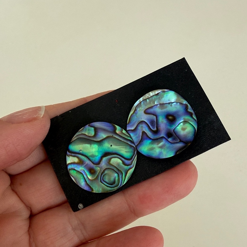 Iridescent Abalone Shell Earrings - image 1